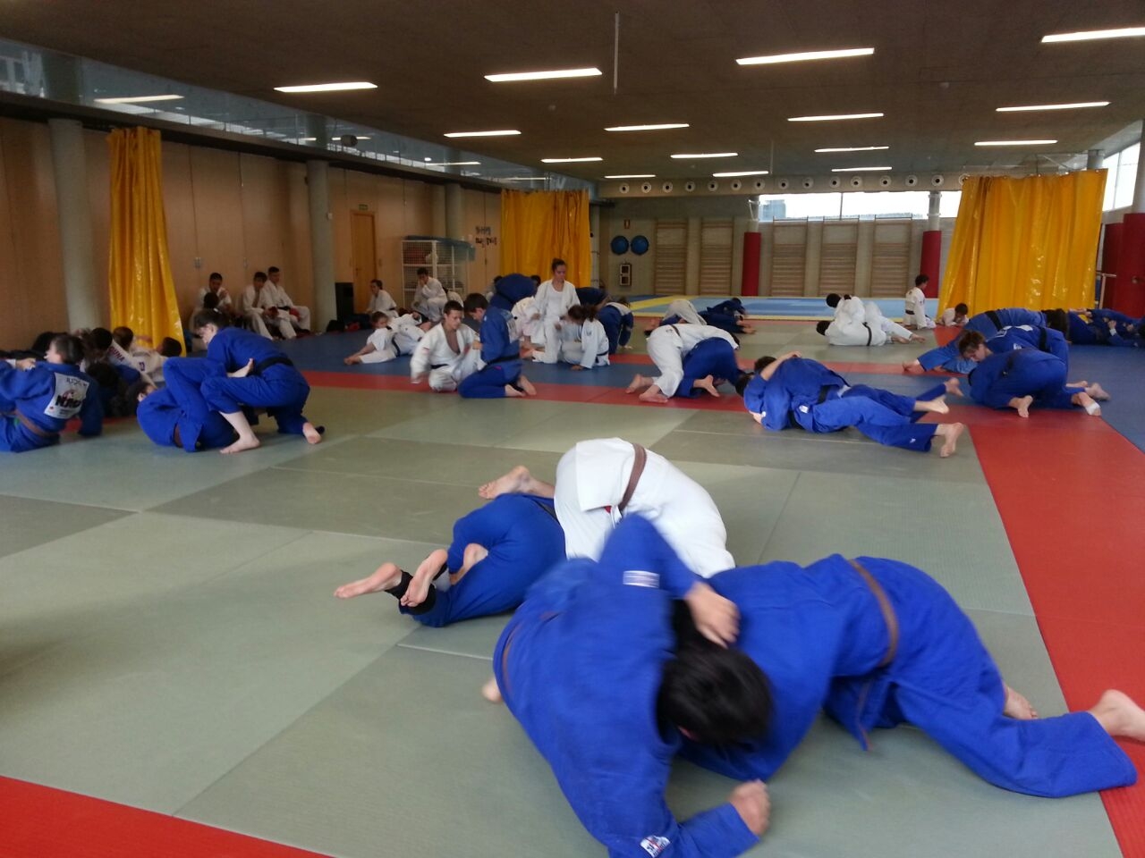 Entrenamiento de Selecciones Infantil y Cadete 2015-2016